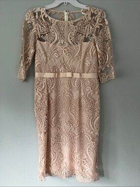 Emma Street Midi Dress Elegant Lace in Blush size 6